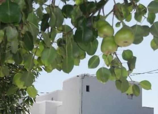 Naxos Sun Studios 1