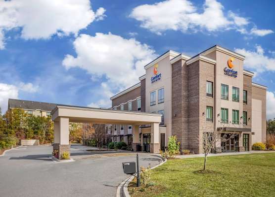 Comfort Inn & Suites Florence Center Area 1