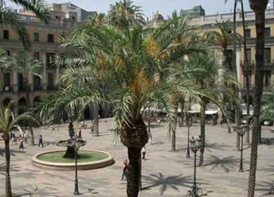 Roma Reial 1