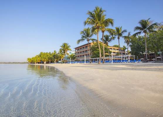 Hotel whala!boca chica - All Inclusive 1