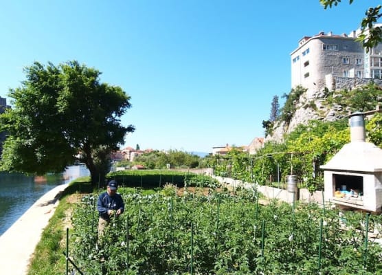 Hotel Villa Dvor 1