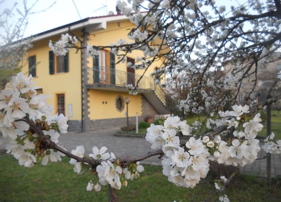 B&B Pervinca 1