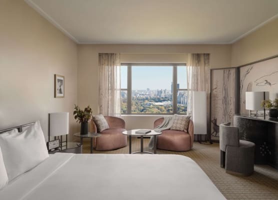 Park Lane New York 1