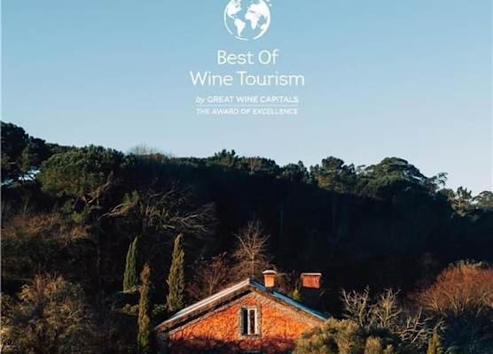 Wine Tourism - Quinta do Ameal 1
