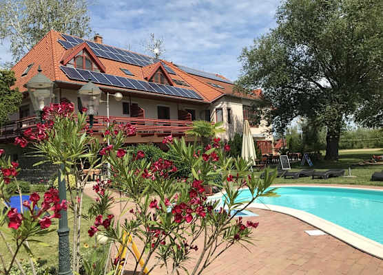 Zsanett Hotel 1