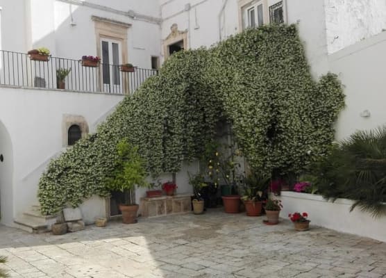 Casa Adele - Dimora del 1700 nel centro storico 1