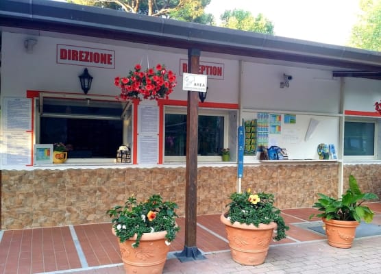 Camping Dal Pino 1