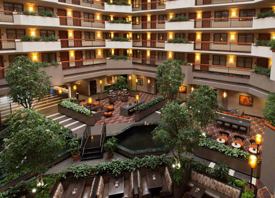 Embassy Suites by Hilton Austin The Domain Area 1