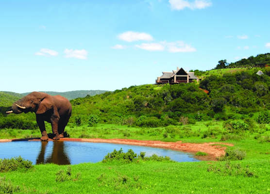 Hopewell Private Game Reserve 1