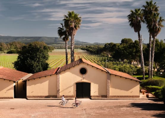 Sella&Mosca Casa Villamarina 1