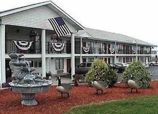 Twinkle Inn 1
