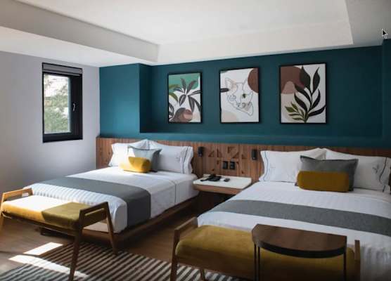 Hotel Flamencos Centro Histórico 1