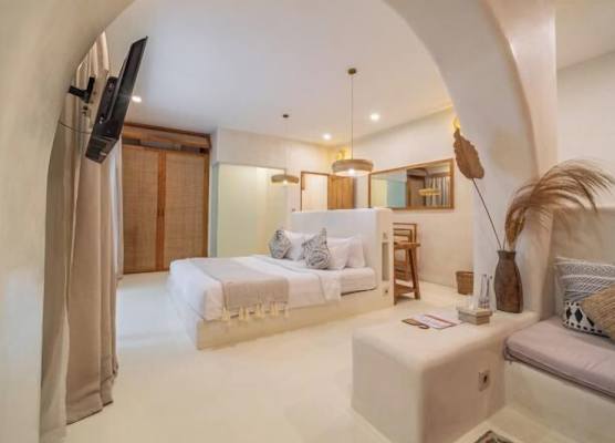 White Goose Boutique Hotel 1