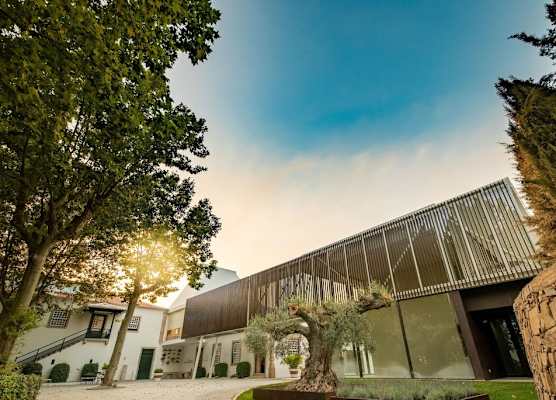 Pacheca The Wine House Hotel e Spa - Quinta da Pacheca 1