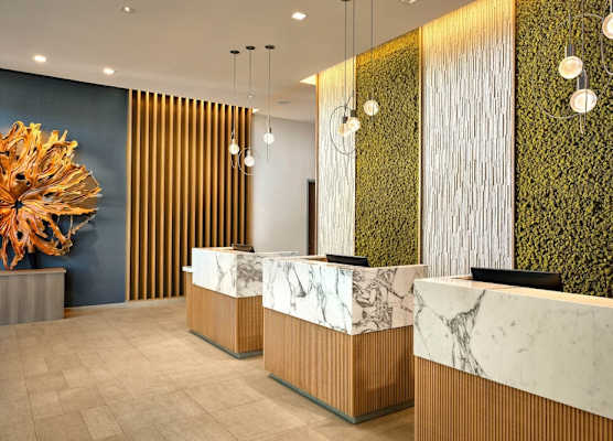 Element by Marriott Anaheim Resort Convention Center 1