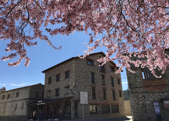 Hostal Pas De La Pera 1