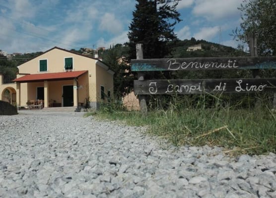 I Campi di Lino 1