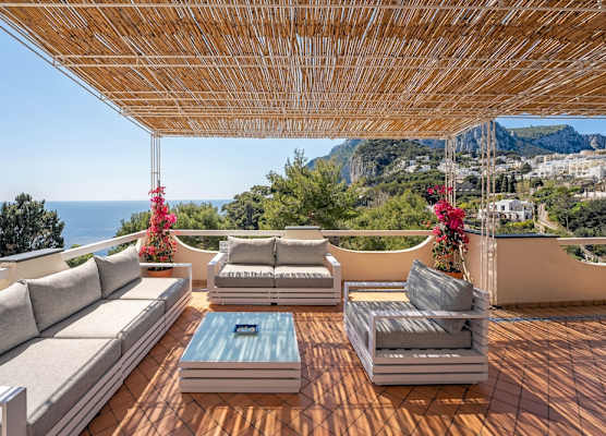 Oliveto Capri 1
