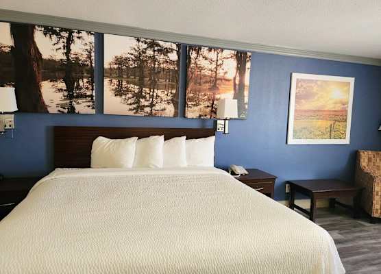 Days Inn by Wyndham Rosenberg 1