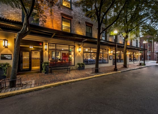 Staypineapple, A Delightful Hotel, South End 1