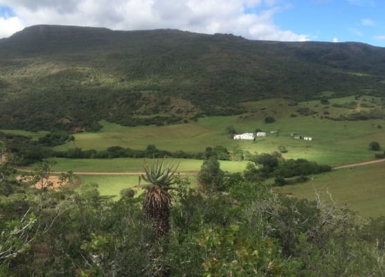 Kromrivier Farm Stays & B&B Near Addo Elephant Park 1