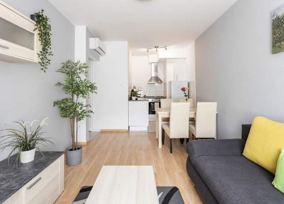 Maple Tree Apartments 1