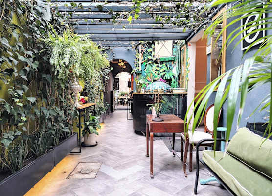 Casa Pánuco 1