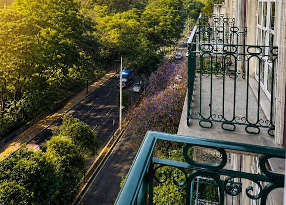 The Green Park Boutique Hotel and Grand Suites - Chapultepec Parkfront 1