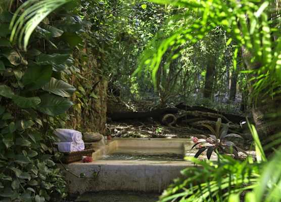 Hacienda Uayamon 1