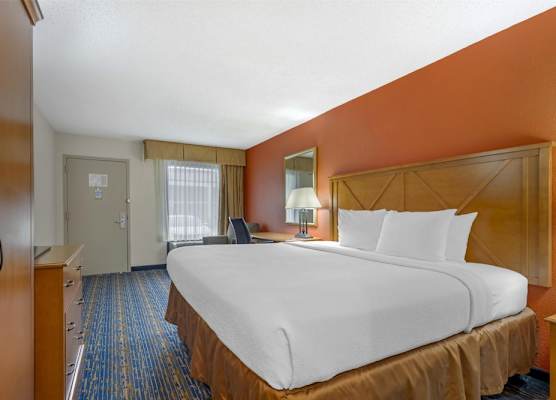 Best Western Dulles Airport Inn 1