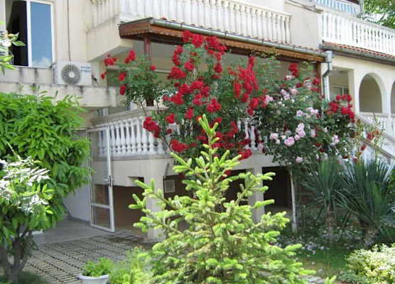 Apartments Bravo 1-Vichevi 1
