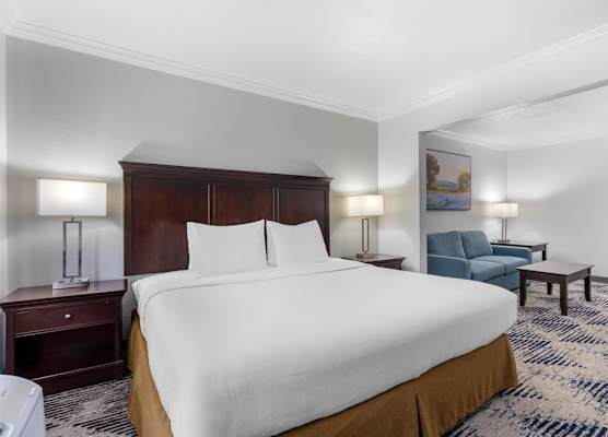 Best Western Plus Southpark Inn & Suites 1