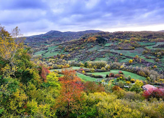 Agriturismo Bio I Rondinelli 1