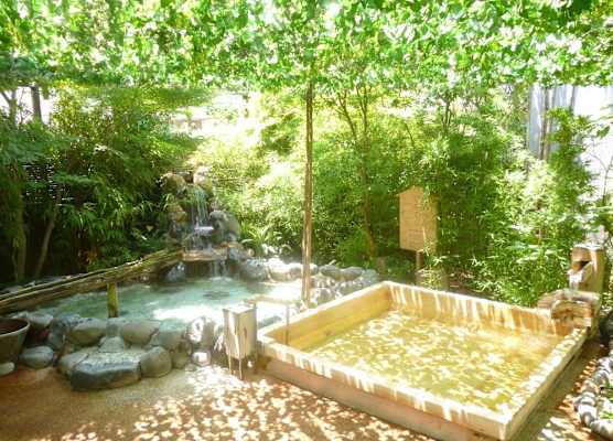 Wellness Forest Ito 1