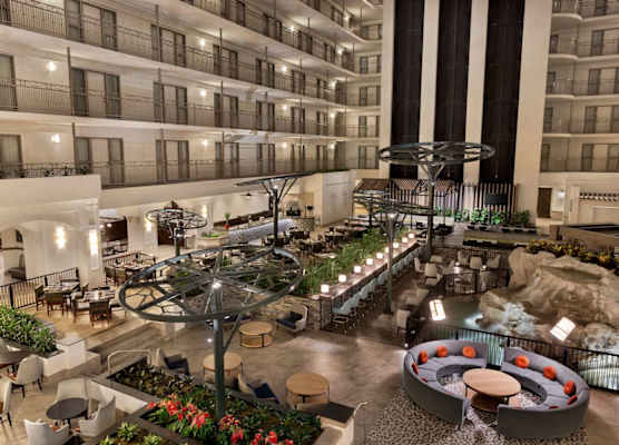Embassy Suites by Hilton Dallas DFW Airport South 1