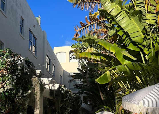 Apartments at 100 Collins 1