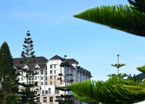 Avillion Cameron Highlands 1