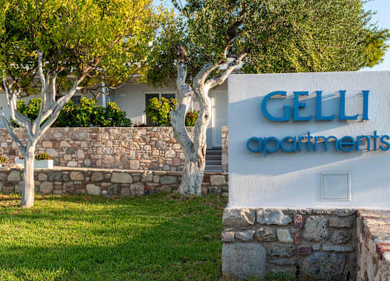 Gelli Apartments 1