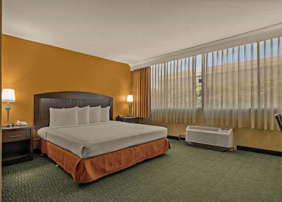 Airport Honolulu Hotel, Trademark Collection by Wyndham 1