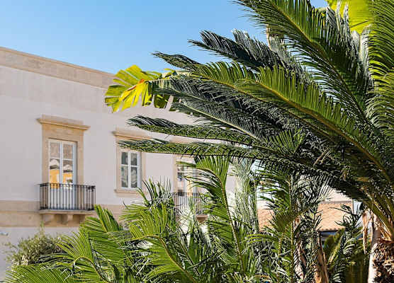 Byssus Suites 1