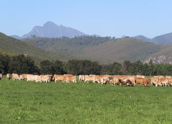 Natures Way Bushbuck Cottage 1