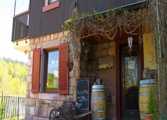Hotel Merkurwald-Restaurant Wolpertinger 1