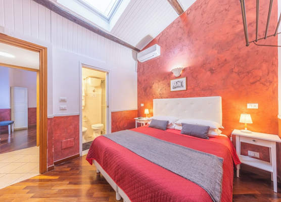 Room-skylight Double Room in History Hou 1