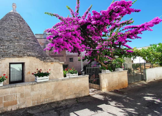 Trulli Antica Fonte 1