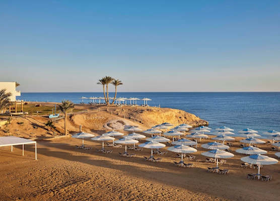 JAZ Neo Reef Marsa 1