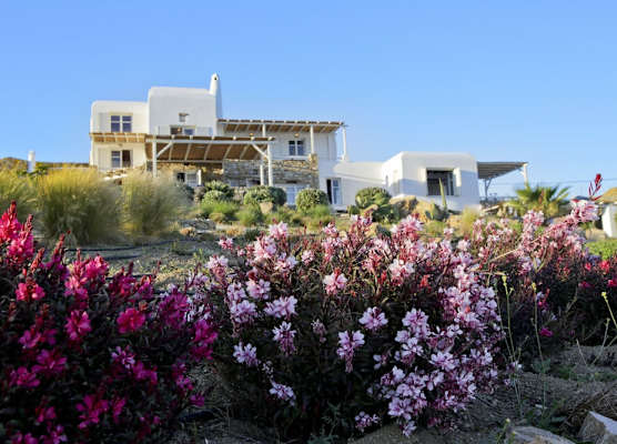 Salty Houses 1