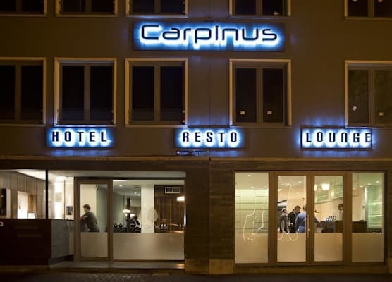 Hotel Carpinus 1