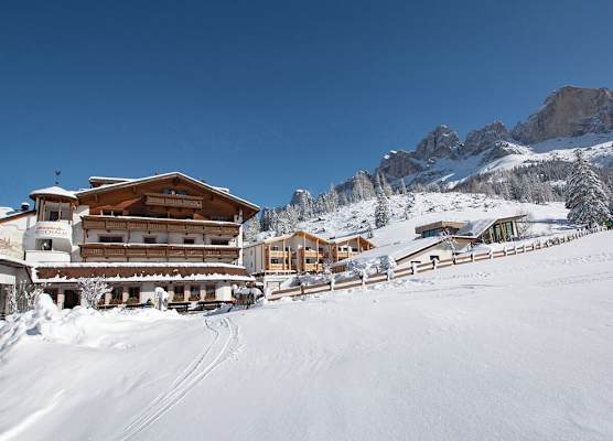 Moseralm Dolomiti Hideaway 1