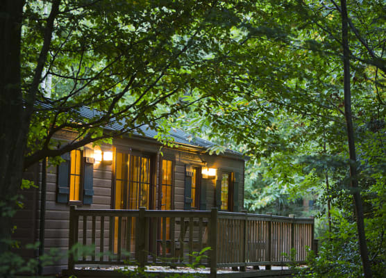 Disney Davy Crockett Ranch + Tickets 1