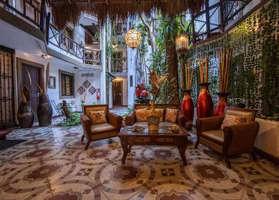 Posada Mariposa Boutique Hotel - 5th Avenue 1